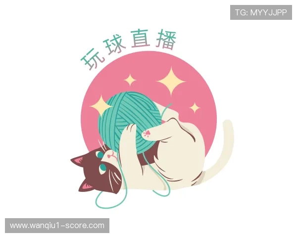 解读波兰球之战秒玩入口